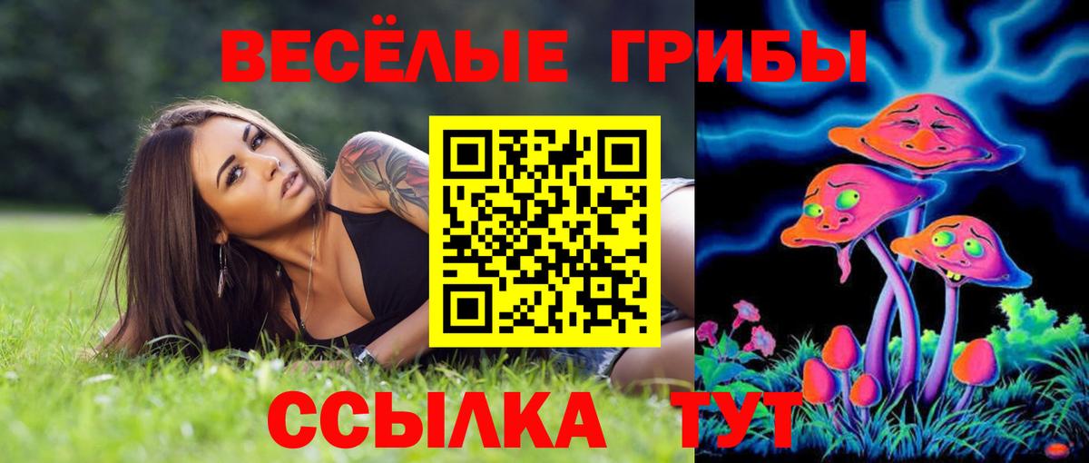 Галлюциногенные грибы GOLDEN TEACHER Дюртюли